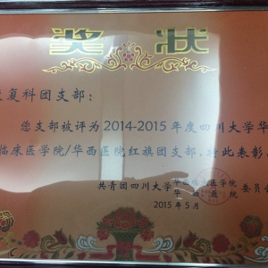 我中心荣获医院2014年度“五四红旗团支部”