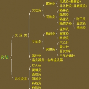 常见灸法的分类