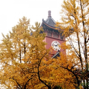 四川大学华西医院康复医学中心—公益活动