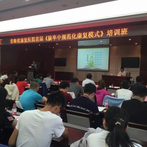 我中心主任何成奇教授一行为青海省康复医院首届《脑卒中规范化康复模式》培训班授课