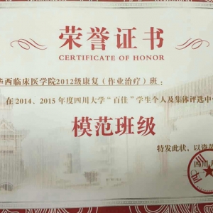 我院2012级作业治疗班获“百佳”、“五四红旗团支部”班级荣誉称号