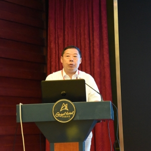 中美国际康复论坛----中山大学中山医学院康复治疗学系主任黄东锋教授