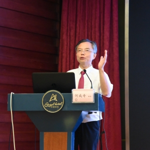 中美国际康复论坛----四川大学华西医院康复医学中心主任何成奇教授