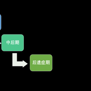 脑外伤康复
