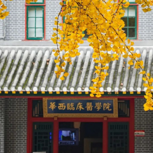 我中心优化教学管理提升工作效率