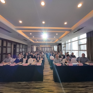 四川省康复医疗质控中心2025年度工作会议在成都顺利召开 ——聚焦质控提升，共绘康复发展新蓝图 ...
