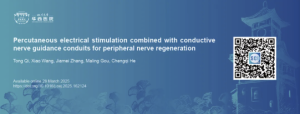 华西医院康复医学中心/康复医学研究所何成奇团队：经皮电刺激结合导电神经导管用于周围神经再生 ... ... ... ...
